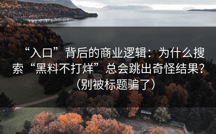 “入口”背后的商业逻辑：为什么搜索“黑料不打烊”总会跳出奇怪结果？（别被标题骗了）