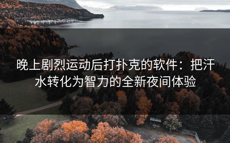 晚上剧烈运动后打扑克的软件：把汗水转化为智力的全新夜间体验